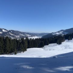 IMG_8031.JPEG