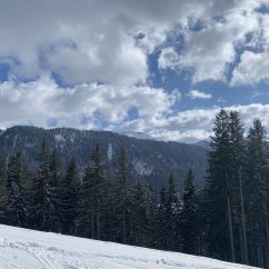 IMG_8013.JPEG
