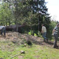 IMG_1481.jpg
