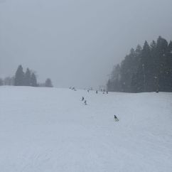 IMG_0366.jpg